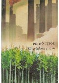 Pethő Tibor - Kölcsönben a jövő