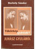 Borbély Sándor - Tükörkép Juhász Gyuláról