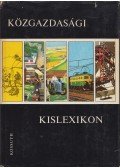 Varsádi Zsuzsa - Közgazdasági kislexikon