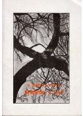 N. Horváth Péter - Bekopog a nap