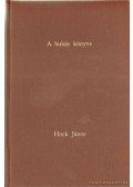 Hock János - A bukás könyve