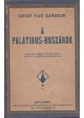 Gróf Vay Sándor - A Palatinus-huszárok