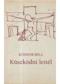 Kondor Béla - Küszködni lettél