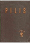 Dely Károly,Dr. Mezei Iván - Pilis útikalauz