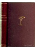 Morgan, Charles - Tükörkép
