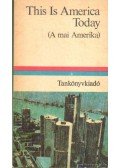 Lengyel Gabriella (főszerk.) - This Is America Today