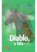 Gabi Adam - Diablo, a hős