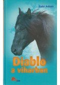 Gabi Adam - Diablo a viharban