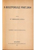 Mészáros Gyula dr. - A Boszporusz partjain