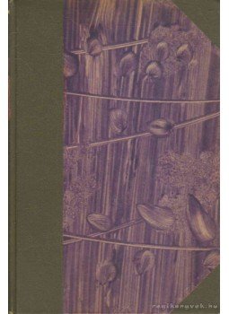 Alexander Bernát - Tanulmányok Alexander Bernát - Tanulmányok, Budapest 1924 antikvár könyv