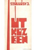 Szőllősy Julianna - Útközben