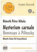 Németh Péter Mikola - Mysterium carnale