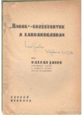 Pálfai János - Angol edzéstervek a labdarugásban (dedikált)