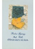 Bodosi György - Az idő marasztalása