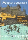 Vay Márton - Meddig vagyunk?