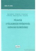Kresalek Péter,Sztanó Imre Dr.,Sándor Lászlóné dr.,Pucsek József Dr.,Birher Ilona Dr.,Takácsné Lengyel Andrea - Példatár a vállalkozási tevékenység gazdasági elemzéséhez
