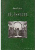 Barna T. Attila - Félárbocon