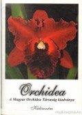  - Orchidea
