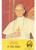 Török József - VI. Pál pápa