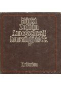 Márki Zoltán - A megsebzett harangjáték
