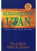 LaHaye, Tim,Jenkins, Jerry B. - Az elragadtatás után