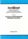 Pataki Béla - Fejezetek a menedzsmentből mérnökhallgatóknak
