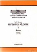 Csató Tamásné - Matematikai példatár V.