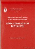 Botos Katalin,Bittsánszky Géza,Ivicz Mihály,Schlett András - Közgazdaságtani bevezetés
