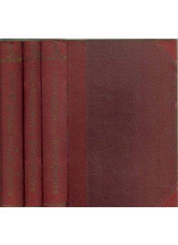 Dosztojevszkij, Fjodor Mihajlovics - A siheder I-III. Dosztojevszkij, Fjodor Mihajlovics - A siheder I-III., 0 antikvár könyv