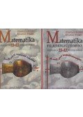 Czapáry Endre,Gyapjas Ferenc - Matematika (tankönyv+feladatgyűjtemény)