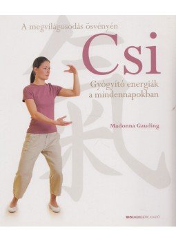 Madonna Gauding - Csi Madonna Gauding - Csi, 2009 antikvár könyv