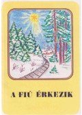 Iványi Tibor - A fiú érkezik