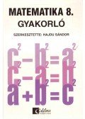 HAJDU SÁNDOR - Matematika 8. gyakorló