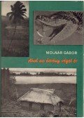 Molnár Gábor - Ahol az ösvény véget ér