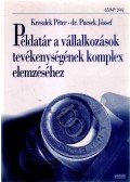 Kresalek Péter,Pucsek József Dr. - Példatár a vállalkozások tevékenységének komplex elemzéséhez