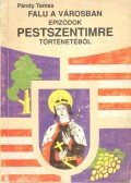 Pándy Tamás - Falu a városban