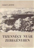 Elekfy Jenőné - Tizennégy nyár Zebegényben