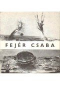 D. Fehér Zsuzsa - Fejér Csaba festőművész kiállítása (meghívó)