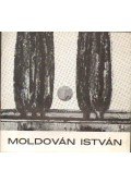 Dr. Fehér Zsuzsa - Moldován István festőművész kiállítása
