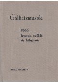 Végh Béla,Rubin Péter - Gallicizmusok