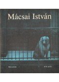 D. Fehér Zsuzsa - Mácsai István festőművész kiállítása