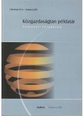 Hartman Éva,Kapás Judit - Közgazdaságtan példatár - felvételi feladatok