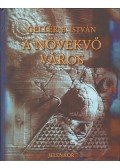 Gellér B. István - A növekvő város