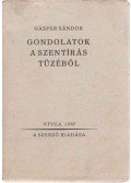 Gáspár Sándor - Gondolatok a Szentírás tüzéből