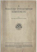 Sághelyi Lajos - A magyar üvegesipar története