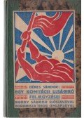 Sándor Dénes - Egy komitácsi ujságíró feljegyzései