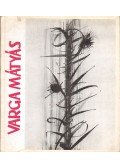 Kisdéginé Kirimi Irén - Varga Mátyás