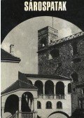 Détshy Mihály - Sárospatak
