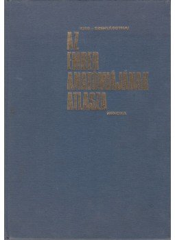 Dr. Kiss Ferenc, Dr. Szentágothai János - Az ember anatómiájának atlasza I. Dr. Kiss Ferenc, Dr. Szentágothai János - Az ember anatómiájának atlasza I., Budapest 1984 antikvár könyv