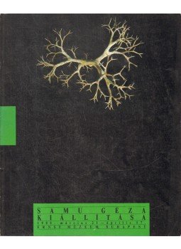 Wehner Tibor - Samu Géza kiállítása,  1988 antikvár könyv